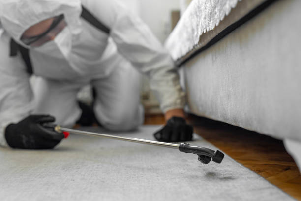 Professional Termite Control technician working in Cherokee, IA
